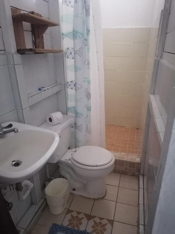 El Jaguar Hostel Bocas Town Ngoại thất bức ảnh